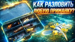 ХВАТИТ СКЛАДИРОВАТЬ ПРИМАНКИ! 😡 Вот как разловить любую из твоей коробки за минуту 👉