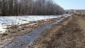 ВЕСЕННИЕ ЗАРИСОВКИ!mp4