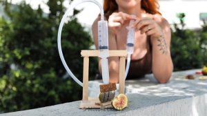 ОТКРЫВАЕМ СЕКРЕТЫ ВИРУСНЫХ ГАДЖЕТОВ ДЛЯ ФРУКТОВ!