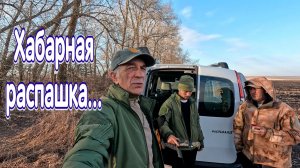 Хабарное поле начала сезона копа 2026