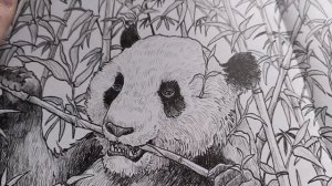 Влог февраль