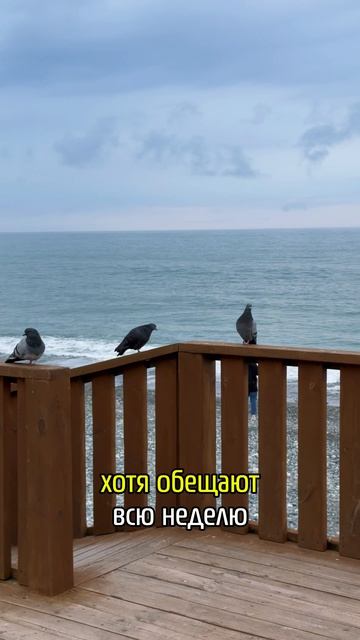 31 марта Адлер погода пасмурная адлер сочи