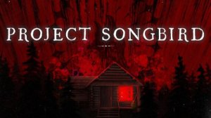 Певчая птица | Project Songbird #2