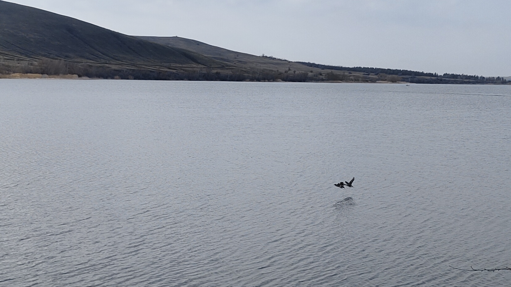 Горный Балыклей | Волка мать