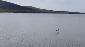 Горный Балыклей | Волга мать