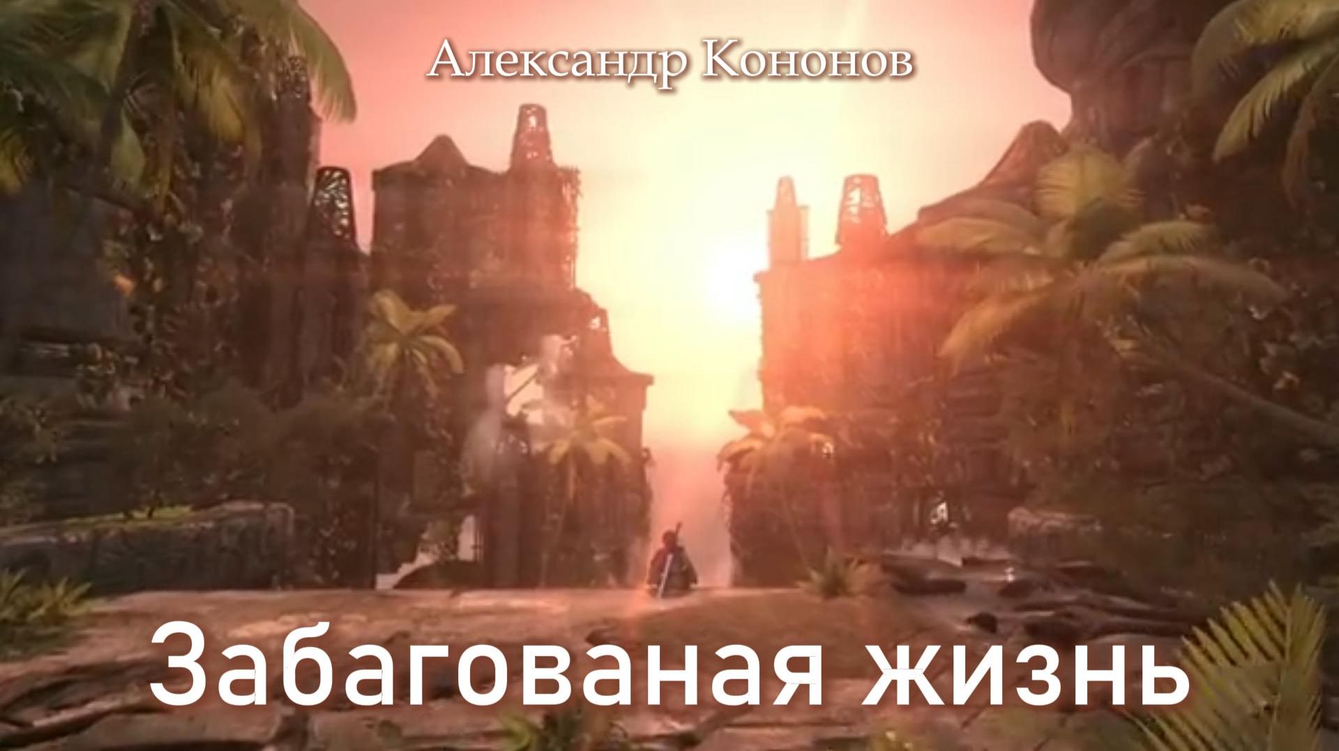 Александр Кононов - Забагованая жизнь