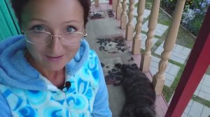 Видео привет с 6 соток 15 августа 2021 года