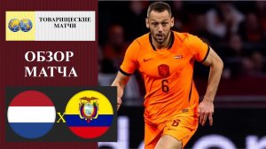 Нидерланды - Эквадор обзор матча