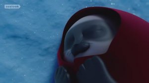 Морские Котики: Срочные новости - на Северном полюсе рекордный холод | Подборка эпизодов