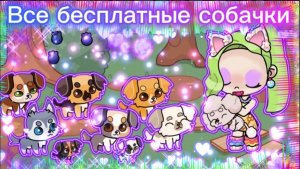 Где найти всех бесплатных собачек в Avatar world🐶🐕