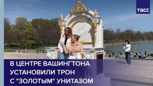 В центре Вашингтона установили трон с "золотым" унитазом