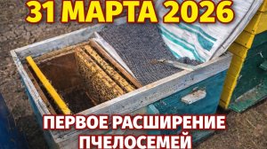 31 марта 2026. Первое расширение пчелосемей