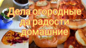 31-03-2026Дела огородные да радости домашние
