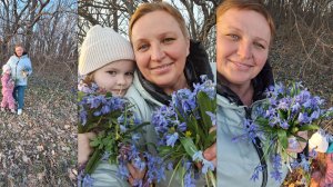 Забрали внучку в пятницу,в воскресенье вечером отвезли и заехали за подснежниками.