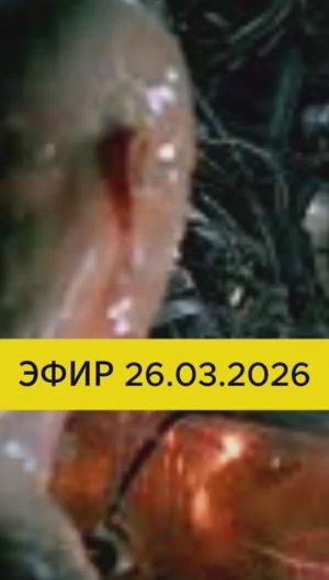 Эфир 26.03.2026