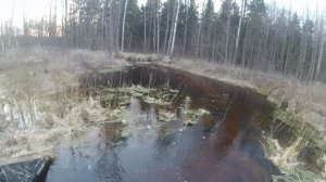 Приехали на СКУТЕРАХ на лесную речушку.