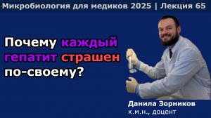 Вирусы гепатитов