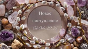 Новое поступление 01-04-2026