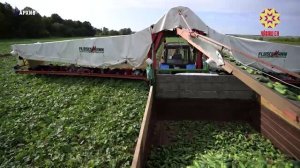 Ялти пурнăçа илĕртÿллĕ тума республика правительстви  2026 çулта 70 ытла инвести проектне пурнăçа