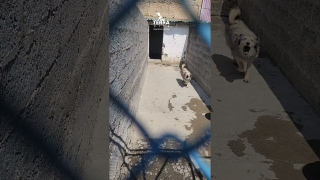 не забывайте о нас!