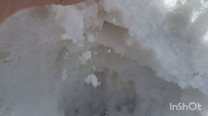 Снега становится меньше. Курятники пустуют, скоро буду заселять.