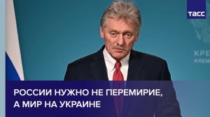 Песков: России нужно не перемирие, а мир на Украине