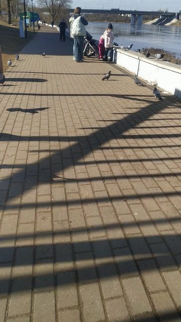 я катаюсь на велике день 1