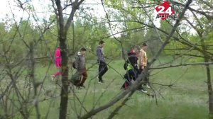 Без сюрпризов