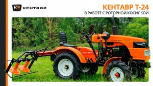 Минитрактор Кентавр Т-24 в работе с роторной косилкой