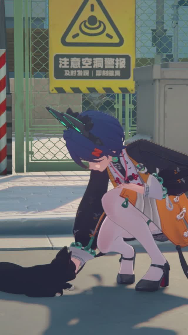 Гладим котиков zenlesszonezero cats cute