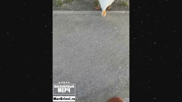 ЭТО БЕЗУМИЕ! Угарная подборка приколов НЕ ПЕЙТЕ ВОДУ ПЕРЕД ПРОСМОТРОМ!Ржака!Лол!Топ Смех Видео №7946 смотреть онлайн