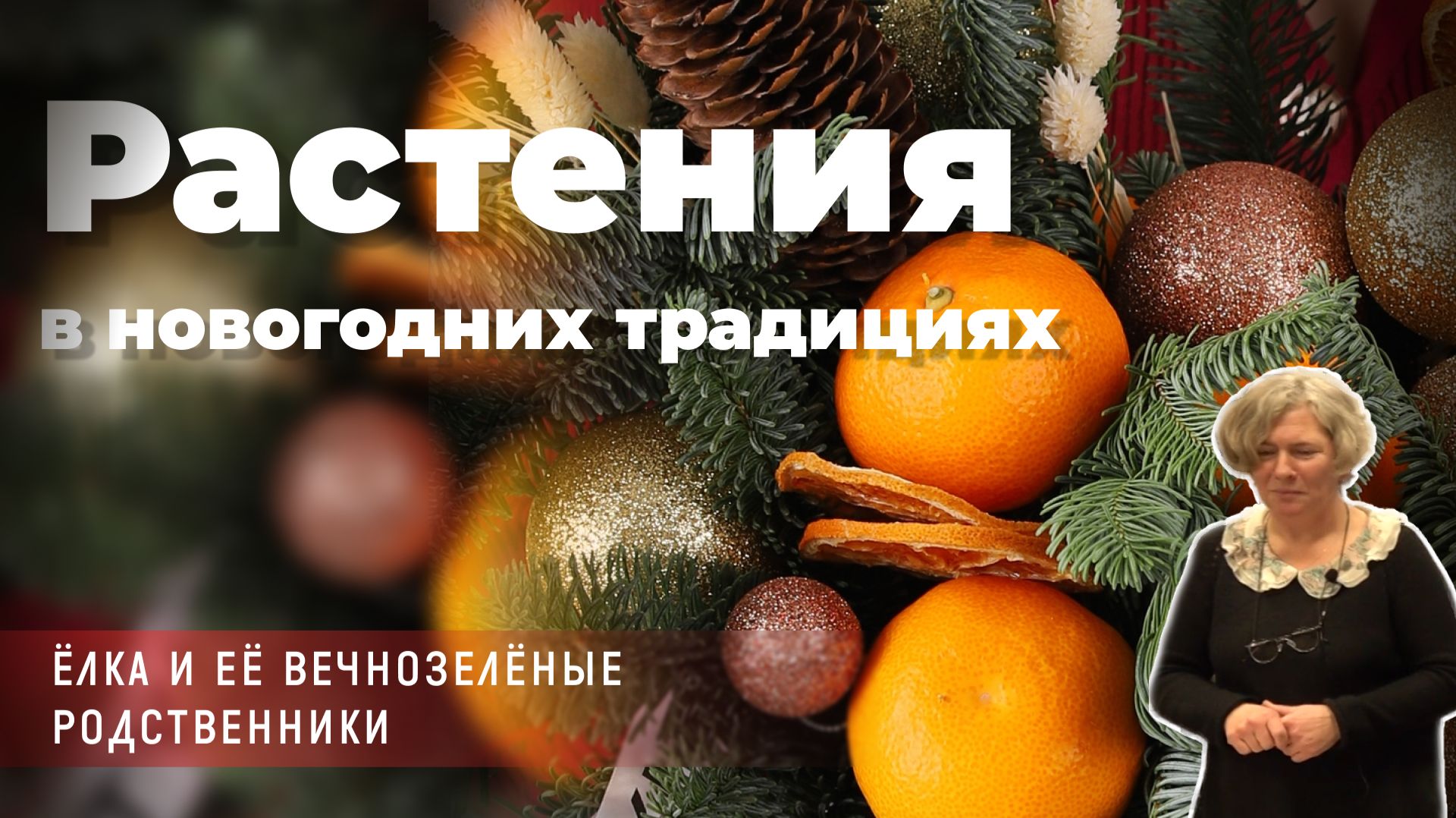 Марья Кохановская - Растения в новогодних традициях