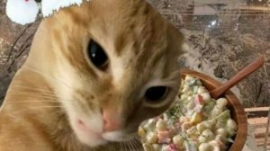 первый стрим