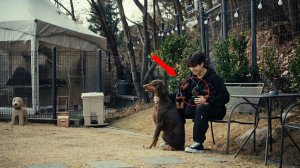 Чонгук преподнес своей любимой собаке большой подарок-сюрприз! Как трогательно!