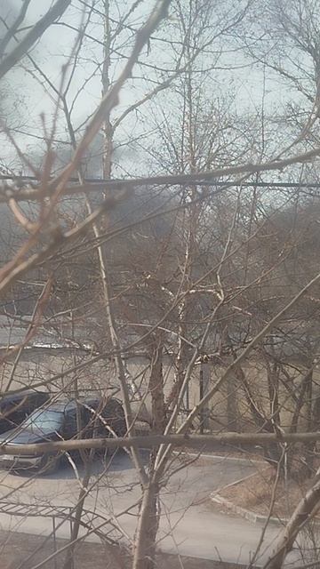 2 пожар чтоли