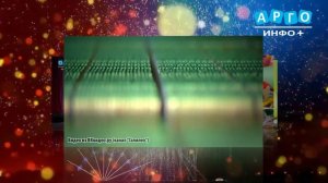 Рубрика "Ни дня без праздника" от 01.04.2026