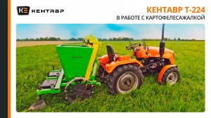 Минитрактора Кентавр Т-224 в работе с картофелесажалкой и чеснокосажалкой