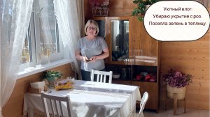 Уютный влог: Убираю укрытие с роз. Посеяла зелень в теплицу.