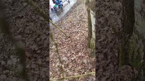 минутка внимания на природу 5 выпуск от 31.03.2026