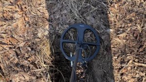 Тест на глубину металлоискателя Nokta legend 2. Чешуя на глубине.