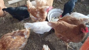 ✅️Настроение: квасить. 😉🤭