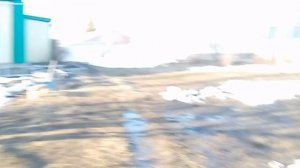 сиреноголовый охотится за мной. И паук