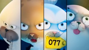 Морские Котики: Еще больше гонок ⭐ Особая подборка для просмотра