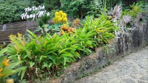 Ого,какой дракон!