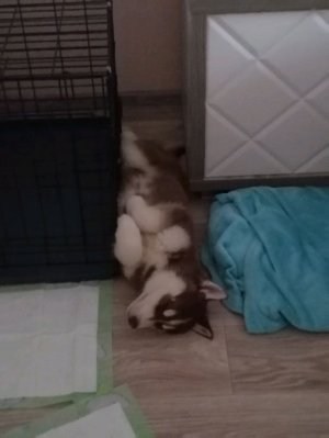 2 часть история на УЛИЦЕ!