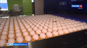 В Кировской области проверят обоснованность роста цен на куриные яйца