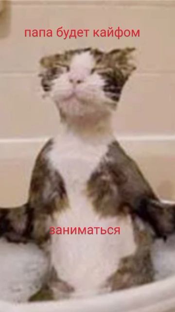 мы и аквапарк