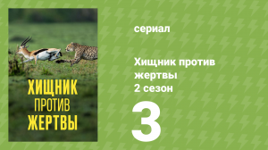 Хищник против жертвы 2 сезон 3 серия (документальный сериал, 2025)