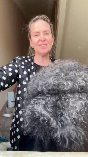 project-2026-03-31 04:07:31.2720