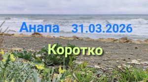 Анапа 31.03.2026 коротко
